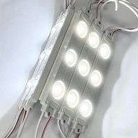 Module de moulage par injection pour caractères lumineux publicitaires LED blancs étanches IP66, DC12V/24V 111*20mm 3W 9000K-10000K