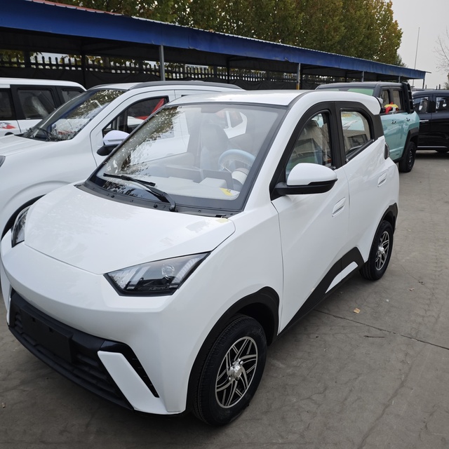 High Quality 1000W Electric Vehicle China's Small Mini Electric Car with Four Wheels New Energy Vehicle