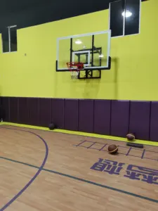Temperli cam ile S030 basketbol ekipmanları yüksekliği ayarlanabilir duvara montaj basketbol potası