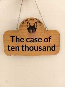 Biển cửa gỗ chuồng chó mèo tùy chỉnh với thiết kế cổ điển sáng tạo và khắc gỗ nguyên khối - Product Image 2