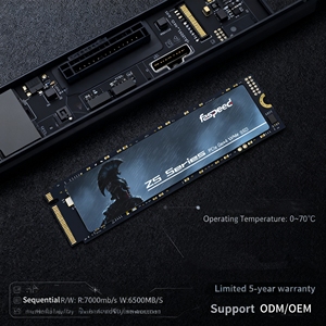 Faspeed ZS970 Series Internal PCIe SSD TLC 512GB/1TB/2TB M.2 2280 7000MB/s Baca/6500MB/s Tulis Garansi 5 Tahun - Product Image 4