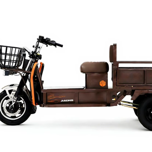 Triciclo Elettrico 1000W per Trasporto Merci, Ampio <span class=keywords><strong>Spazio</strong></span> di Carico, Batteria al Piombo-Acido 72V 50AH, Display LCD, Autonomia 110-130km - Product Image 1