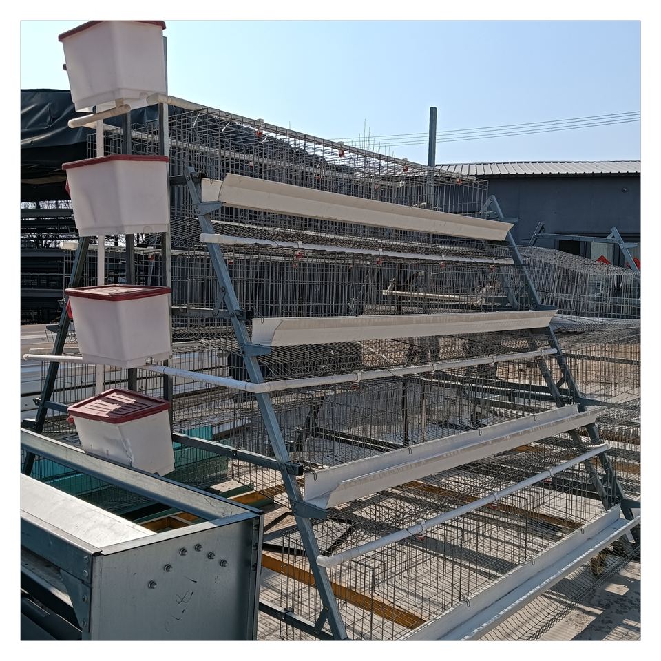 Automatic Chicken Layer Battery Cages for Durable Poultry Farming ...