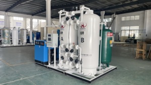 Psa loại Nitơ Máy phát điện/Nitơ tạo ra thực vật làm sạch 99.999% - Product Image 2