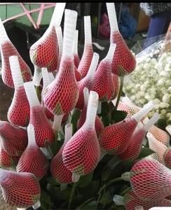 Hoa Lưới nhựa nụ hoa lưới bảo vệ tay áo Net - Product Image 2