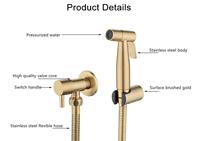 Kit de douche mural Homedec en or brossé au design moderne, pulvérisateur de bidet à main en acier inoxydable, robinet de bidet pour toilettes