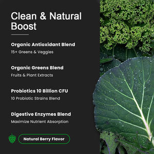 100% Pure Mixed Vegetable Powder Superfood <span class=keywords><strong>Green</strong></span> Mixed Powder Suplemento OEM para adultos - Product Image 4