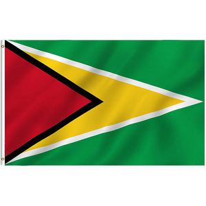 Drapeau en Polyester avec impression numérique, offre spéciale - Product Image 5