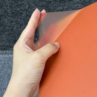 Nouvelle Arrivée Film de Changement de Couleur A4 Autocollants Décoratifs Transparents pour Coque de Téléphone Films Thermorétractables pour iPhone 18 Pro Max 17 16