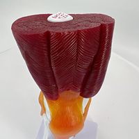 Modelo de Simulación de Ciencia Médica de la Articulación de la Rodilla Humana con Músculos, Ligamentos y Tendones como Recursos de Enseñanza Yulin CE/ISO