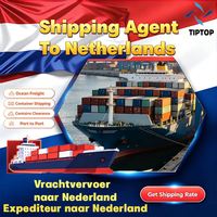 Servicio de Transporte Marítimo TIPTOP de China a Países Bajos a través de LCL+Express, Término Comercial DDP, Soporte 24/7