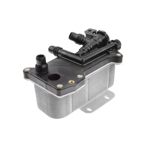 Radiador para BMW Serie 5 F10 F07 F11 520I 17217638582, Pieza de Repuesto Refrigerada por Agua - Product Image 1