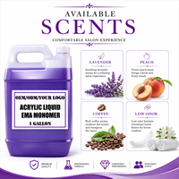 Fournitures de nail art en gros, échantillon gratuit, professionnel, utilisable toute l'année, monomère acrylique EMA 1 gallon