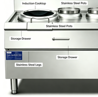 Cuisinière Wok Double Température à Double Brûleur Professionnelle pour Hôtels, Restaurants et Traiteurs