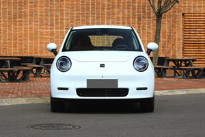 Предоплата горячая Распродажа 2024 Китайский Новый энергетический автомобиль JAC yiwei <span class=keywords><strong>3</strong></span> взрослый дешевый 4-колесный спортивный мини-электромобиль - Product Image 5