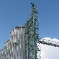 Elevatore a Benna ad Alta Efficienza per Sistema di Movimentazione Cereali e Silos di Riso, Produzione ODM