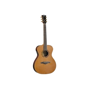 EKO GUITARS- WOW A800E CR LTD Guitarras acústicas de cedro/palisandro con parte posterior y laterales de palisandro Cuello de caoba y diapasón de ébano - Product Image 1