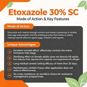 Pesticida Agroquímico Etoxazol 30% SC Especialmente para Acaricidas - Product Image 3