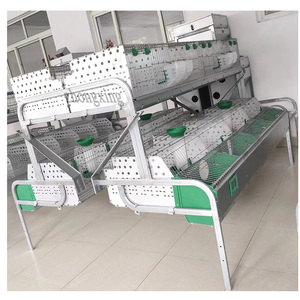 <span class=keywords><strong>Jaulas</strong></span> <span class=keywords><strong>de</strong></span> conejo automáticas <span class=keywords><strong>de</strong></span> nuevo diseño comercial con caja nido, <span class=keywords><strong>jaulas</strong></span> <span class=keywords><strong>de</strong></span> conejo <span class=keywords><strong>para</strong></span> cría <span class=keywords><strong>de</strong></span> conejos <span class=keywords><strong>para</strong></span> madres, cría <span class=keywords><strong>de</strong></span> conejos - Product Image 1