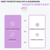 Usine en gros 180 pièces/bouteille comprimés probiotiques pour animaux de compagnie supplément de Nutrition pour animaux de compagnie produit probiotiques pour chats et chiens