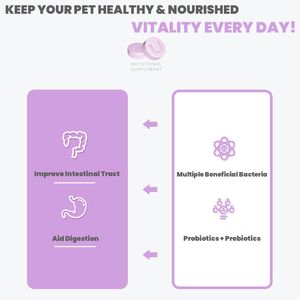 Commercio all'ingrosso della fabbrica 180 pz/bottiglia pastiglie probiotiche <span class=keywords><strong>per</strong></span> animali domestici nutrizione <span class=keywords><strong>per</strong></span> animali domestici prodotto probiotici <span class=keywords><strong>per</strong></span> <span class=keywords><strong>cani</strong></span> e gatti - Product Image 5