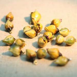 2020 جديد اليدوية الراتنج ريال روز زهرة سحر قلادة قلادة ريال الحاح زهرة المجوهرات المصنوعة مع الزهور الحقيقية - Product Image 4