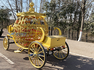 Carruaje de Cenicienta en Venta, Transporte Especial, Carruaje de Fantasía de Princesa Calabaza, Carruaje Eléctrico en Venta - Product Image 3