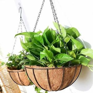 Mini Hanging <strong>Planters</strong> Seagrass Pot Plant <strong>Large</strong> Black Boho Wall Decor <strong>Extra</strong> Basket Wicker Artificial Woven Storage the Bag