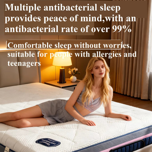 Оптовая продажа высококачественных матрасов из пены с эффектом памяти, двуспальные матрасы высокой плотности, подходят для отелей и апартаментов - Product Image 2