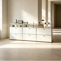 Meuble TV Minimaliste en Acier Inoxydable avec Rangement Personnalisé et Montage Facile pour Entrées, Bureaux et Espaces de Villas