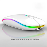 Mouse Gaming OEM RTS RGB LED Backlit dengan Logo Kustom, Nirkabel untuk Laptop, Dapat Diisi Ulang dengan Baterai