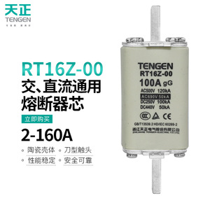 Fusible Tengen Rt16z 00 de 100A, Montaje en Panel Cerámico, Bajo Voltaje, Unipolar - Product Image 5