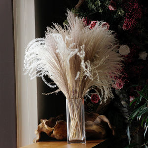 Pampas Naturales Secas y Eternas, Decoración Interior Ecológica y Duradera, <span class=keywords><strong>Cortaderia</strong></span> Selloana Decorativa - Product Image 2