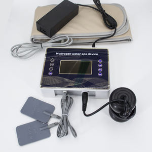 Dernière Ionique Corps Machine de Nettoyage Fournitures De Thérapie De Rééducation Thérapie de Réadaptation et Soins de santé 1 Set 40*25*16cm 220V/110V - Product Image 1