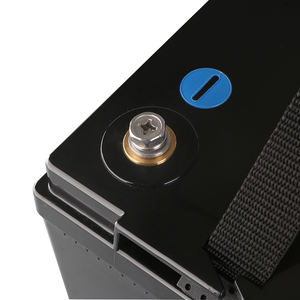 Литий-ионный аккумулятор SKE SKT12100 LiFePO4 12В 100Ач 4S, 3000 циклов, корпус ABS/металл, гарантия <span class=keywords><strong>3</strong></span> года для гольф-каров, ИБП, кемпинга - Product Image 6