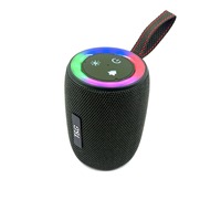 TG434 untuk 5.3 8W Kabinet Plastik Portabel dengan Tali, Audio Outdoor Ringkas, Lampu LED, Subwoofer, Mikrofon Opsional, 1000-2000mAh