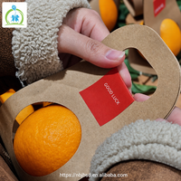 Creatieve boekenstijl fruitverpakkingsset van kraftpapier met handvat voor Kerstavond appel feestdagen cadeautjes