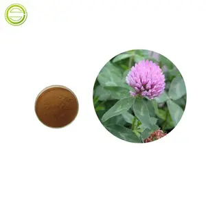 Factory Supply High Purity 80% Red Clover Extract Powder