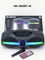 Haut-parleur portable sans fil Bluetooth avec microphone et caisson de basses 24W, lecteur sport pour la maison, cadeau, fête RGB MS-1960BT-W