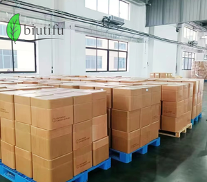 Hot Bán 100% Hương Thảo Tự Nhiên Tăng Trưởng Tóc Dầu Nhãn Hiệu Riêng Chất Lượng Cao Hương Thảo Chiết Xuất Tăng Trưởng Tóc Dầu - Product Image 6