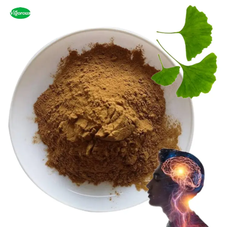 Échantillons gratuits d'usine extrait de feuille de ginkgo poudre organique 24% Flavones extrait de ginkgo Biloba