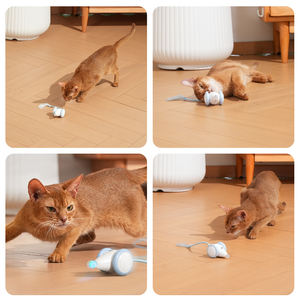 لعبة تفاعلية للقطط من تشيربل، فأر آلي يلعب لعبة الاختباء والصيد - Product Image 4