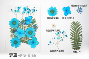ดอกเดซี่เก๊กฮวยสีสันสดใส,ดอกเดซี่สีสันสดใสสำหรับประดับตกแต่งด้วยเทียน DIY จี้ประดับเรซิ่น - Product Image 2