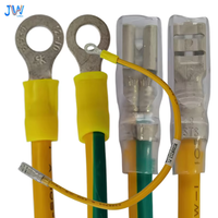 Arnés de Cables Automotrices Personalizado, Cable de Tierra de 12AWG PE con Terminal de Anillo para una Conexión Segura en Accesorios para Automóviles
