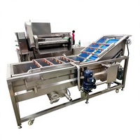 Machine de nettoyage à bulles motorisée multifonctionnelle à haute efficacité pour fruits, légumes, céréales avec acier inoxydable 304