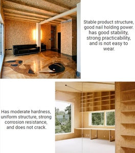 <span class=keywords><strong>Tablero</strong></span> <span class=keywords><strong>OSB</strong></span> Impermeable de 18 mm para Construcción Duradera, Superficie Acabada con Resistencia a la <span class=keywords><strong>Humedad</strong></span> y Resistencia - Product Image 4