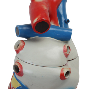 5 Lần 3 Bộ Phận Y Tế Lớn <span class=keywords><strong>3d</strong></span> Lớn Giải Phẫu Trái Tim Con Người Mô Hình Cho Y Tế Sinh Viên - Product Image 5