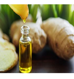 Aceite esencial puro de jengibre certificado GMP de 1000ml con 4 de 6 que comprende bergamota de flor disponible en botellas prácticas de 30ml y 200mL - Product Image 1