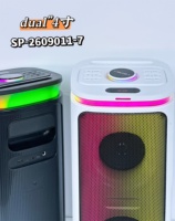 Haut-parleur Bluetooth de karaoké extérieur haute puissance 40W, batterie 6000mAh, micro sans fil, lumière RGB, stéréo TWS, haut-parleur de karaoké pour fête