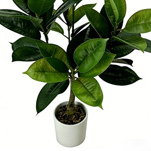 Bonsaï Arbre Caoutchouc Artificiel pour Décoration Intérieure, Plante Artificielle, Feuilles Simulées - Product Image 5